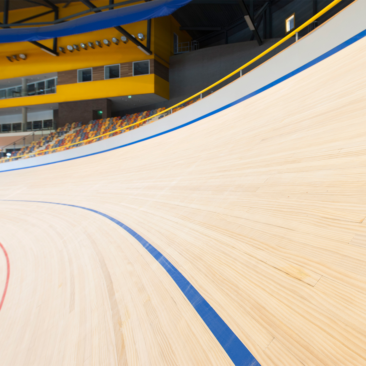 Velodrome - Accoya