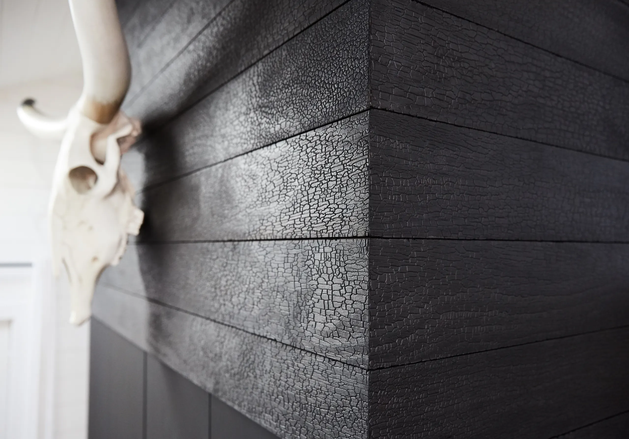 Branded Cladding Reed Residence - Accoya project case study - Cladding